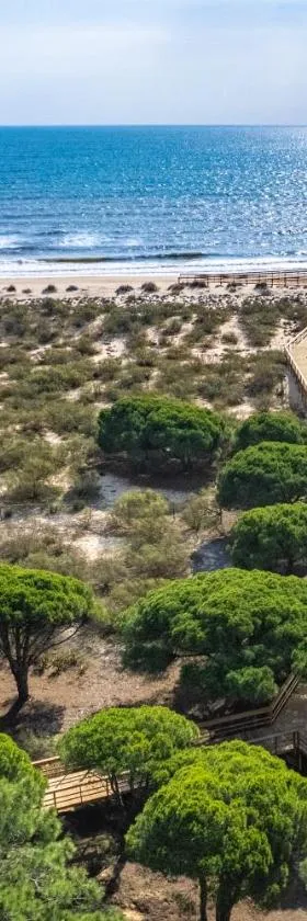 Interfaccia di Verde Casino it