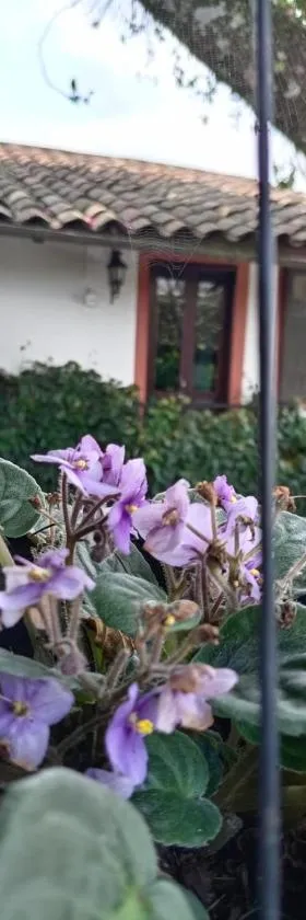 Hotel Boutique Casabella, Hotel in Coatepec