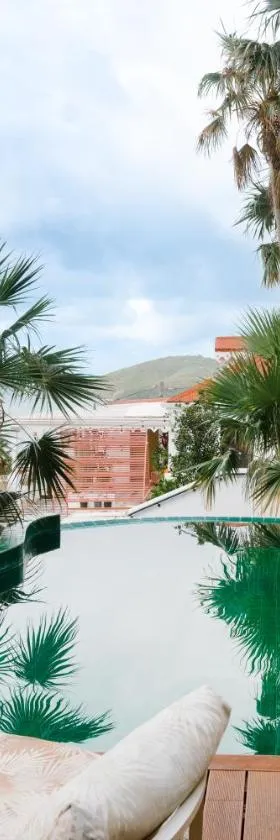 The Pink Palm Hotel - Adults Only, Hotel in Charlotte Amalie