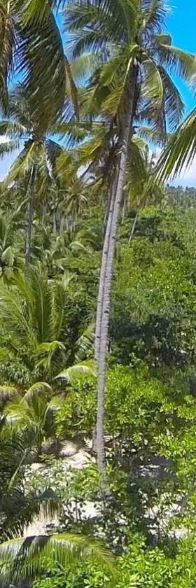 Palawan Ecolodge, Hotel in Malabuñgan