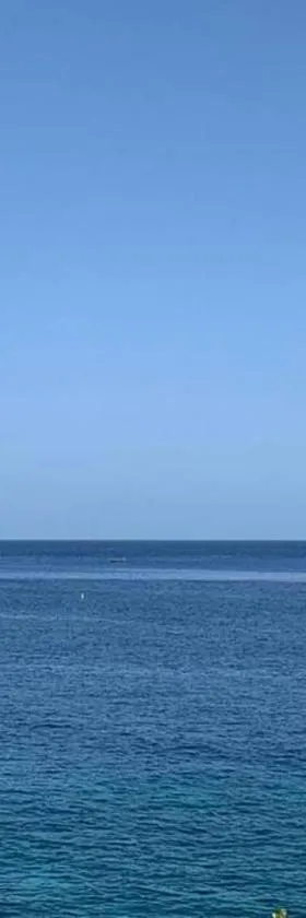 Irie Vibes Ocean View, Hotel in Negril