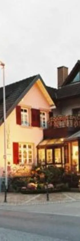 Hotel-Restaurant Adler, Hotel in Lahr