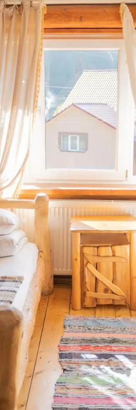 Будинок Художника, Hotel in Synewyrska Poljana