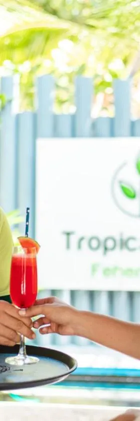 Tropical Tree, Hotel in Fehendhoo
