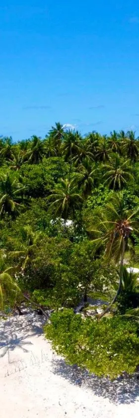 VIVA Beach Maldives, Hotel in Hangnaameedhoo