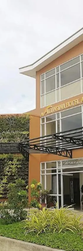 Alunsina Hotel and Spa, Hotel in Roxas City