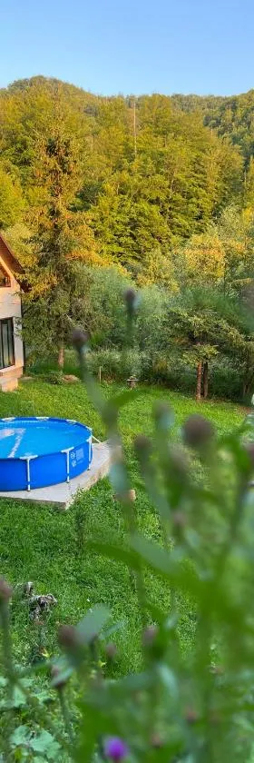 Sonna, Hotel in Pidzakharychi