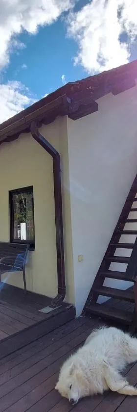 Apartamenti Plieņciemā 4 cilvēkiem, pirmā stāvā, Hotel in Plieņciems
