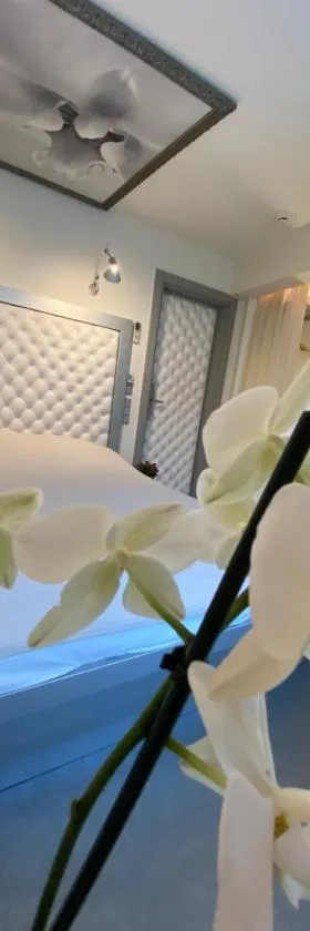 Boutique Hotel Mama, Hotel in Jūrmala