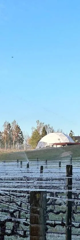 Glamping Dome - Pinot, Hotel in Cromwell