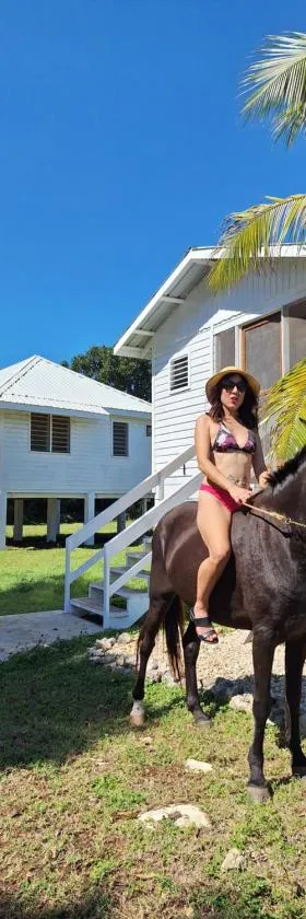 Horse Cottage, Hotel in Sarteneja