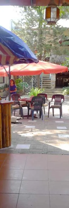 The Octopus's Garden Hostel, Hotel in La Cruz de Huanacaxtle