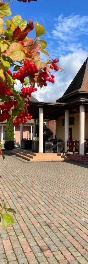 Срібний Водограй, Hotel in Poljana