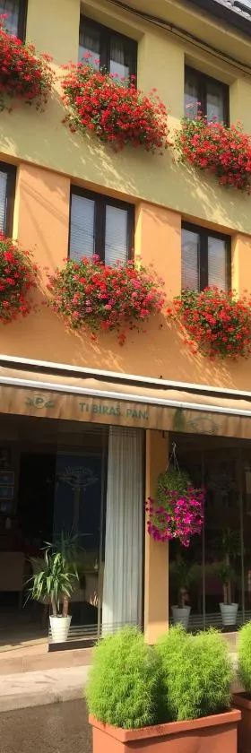 Heartland City B&B, Hotel in Tuzla