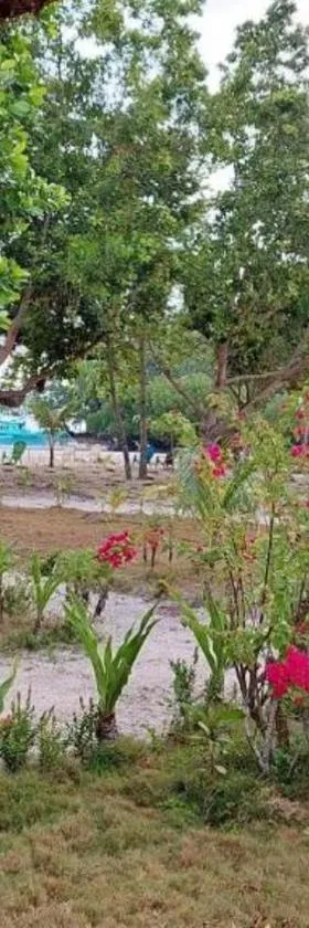 La Tranquilidad Twin Beach Resort, Hotel in Dipnay