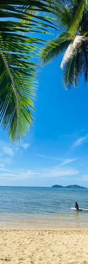 Ocamocam Beach Nature Resort, Hotel in New Busuanga
