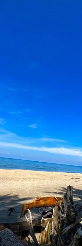 Green Garden Beach Resort, Sipalay, Hotel in Sipalay