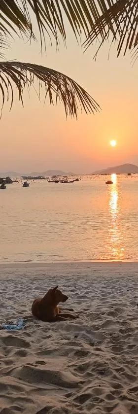 NHÀ NGHỈ CAM RANH GIÁ TỐT PHỤC VỤ CHU ĐÁO