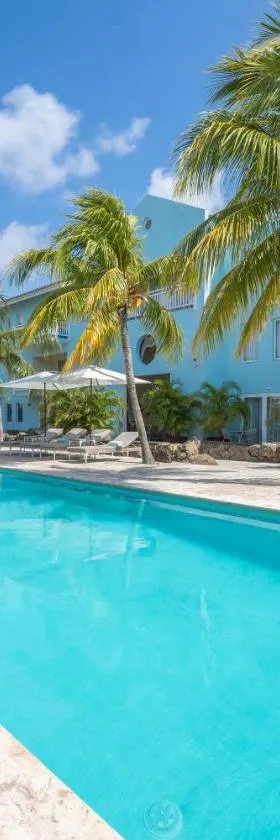 Dolphin Suites & Wellness Curacao, Hotel in Willemstad