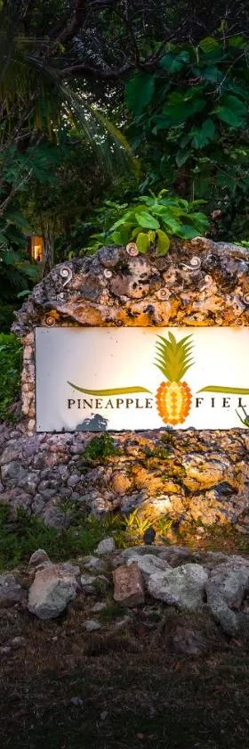 Pineapple Fields, Hotel in Governors Harbour