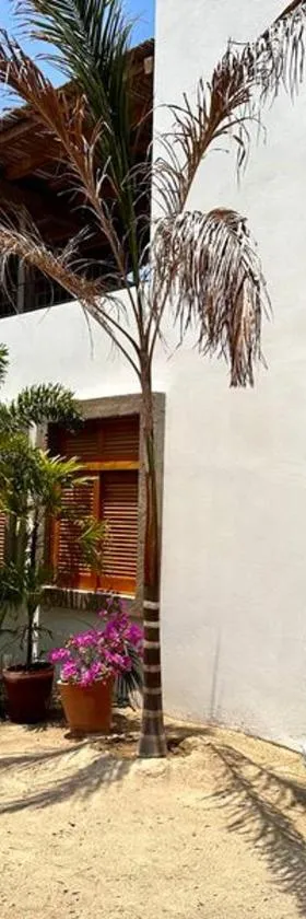 Casa Chiquilluma, Hotel in Piedra Blanca