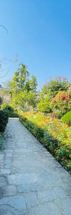Travellers Jungle Camp-Sauraha, Hotel in Sauraha