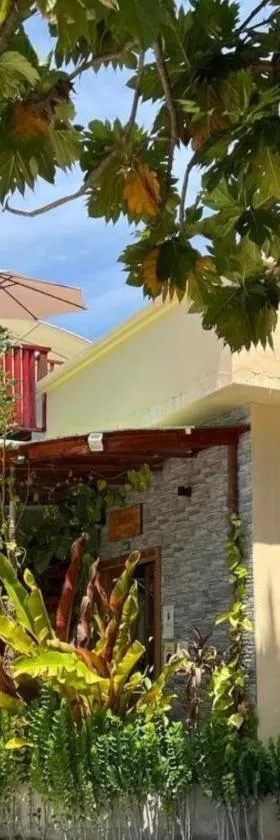 Aasna Inn, Hotel in Thulusdhoo