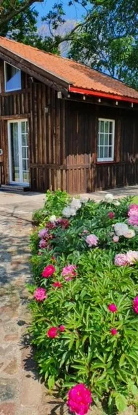 Auci Guest house 2, Hotel in Liepāja
