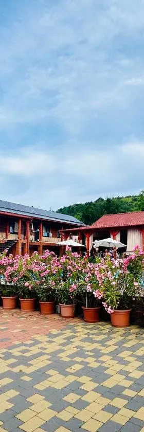 Гостинний дім Александрія, Hotel in Berehowe