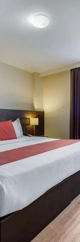 Comfort Inn San Luis Potosi, Hotel in San Luis Potosí