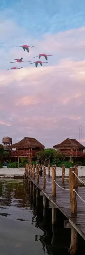Experiencia Casa Blanca, Hotel in Dzilam de Bravo