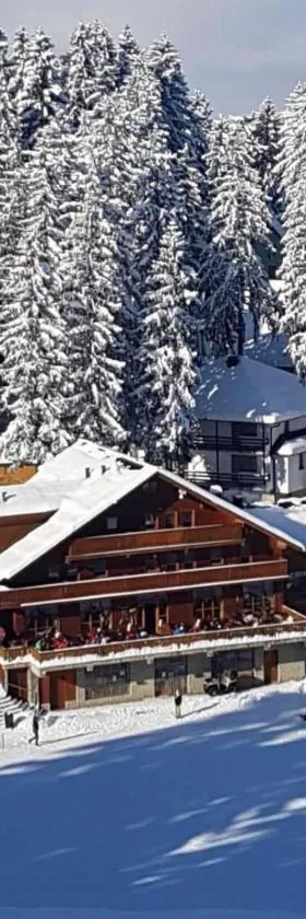 Pansion Vlašić Ski, Hotel in Šišava