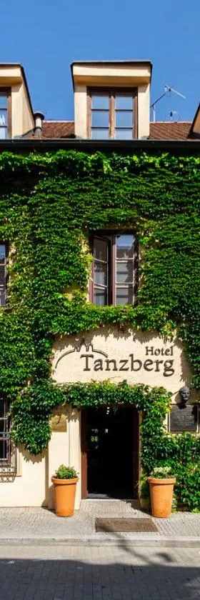 sichtschutzzaun bambus mit rahmen Bambuszaun Bangkok mit Holzrahmen | Sichtschutz-Elemente