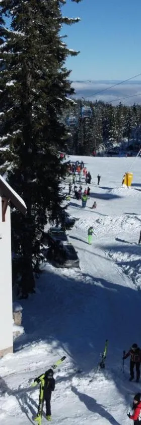 Planinska Bajka - Matej, Hotel in Jahorina