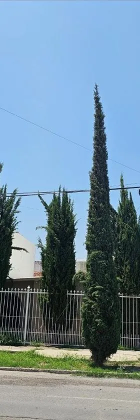 Alegría, Hotel in Delicias