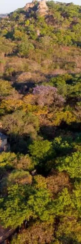 Lodge At The Ancient City, Hotel in Masvingo