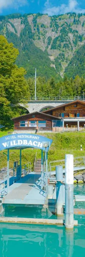 Hotel Wildbach Brienz, Hotel in Brienz