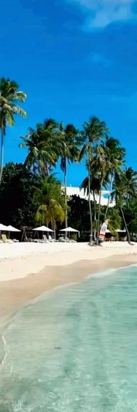Samura Panorama Guest House, Hotel in Thulusdhoo