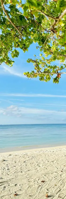 YUVi Blue Maldives & spa, Hotel in Himmafushi