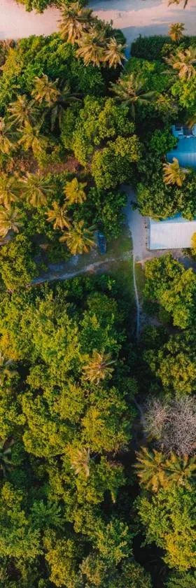 Mi Lugar Maldives, Hotel in Nolhivaranfaru