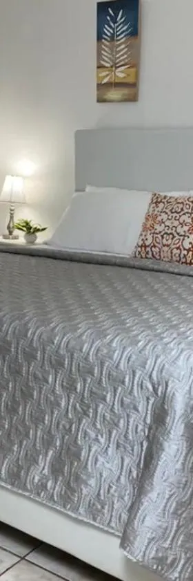 Shalex House 3, Hotel in Carolina