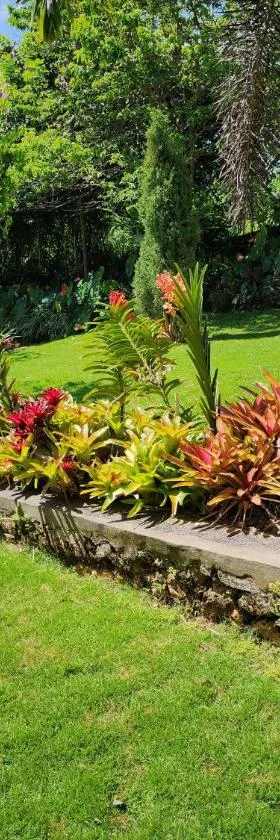 The Villa Retreat, Hotel in Mandeville