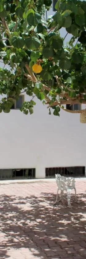 Hotel Casa Hidalgo, Hotel in Torreón
