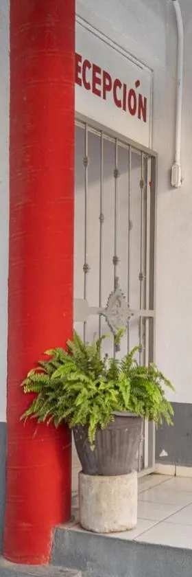 Mezcales Inn, Hotel in Mezcales