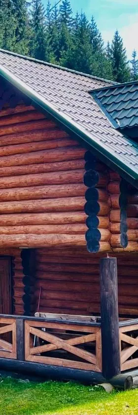 У ВІТИ котедж4, Hotel in Synewyrska Poljana