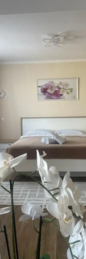 Hotel Elegia, Hotel in Trostyanets