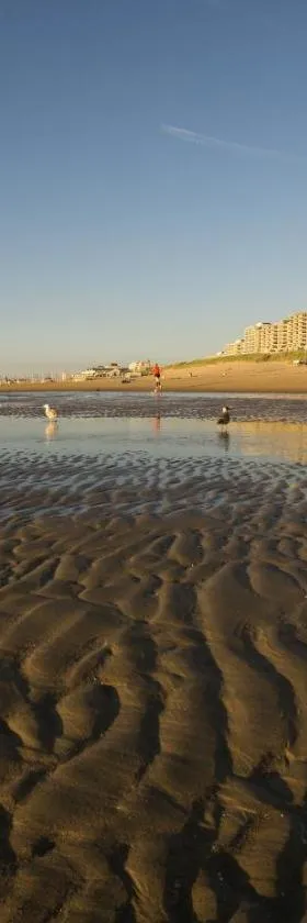 Grand Hotel Huis ter Duin, Hotel in Noordwijk