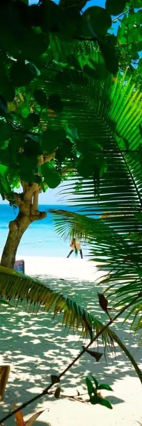 AYURVEDA RESORT, Hotel in Negril