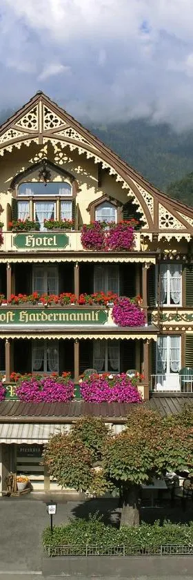 Post Hardermannli, Hotel in Interlaken