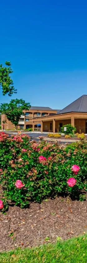Comfort Suites Chesapeake - Norfolk, hotel in Chesapeake